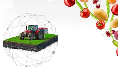 dijital tarım pazarı ditap https://img.huglero.com