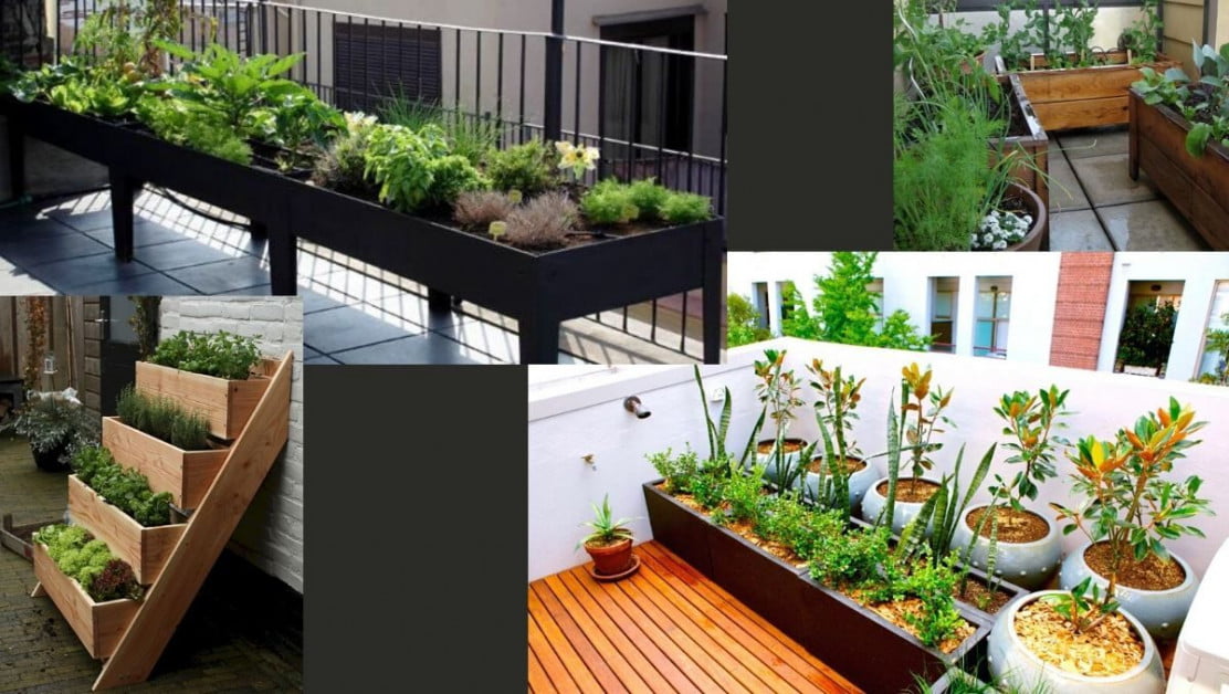 5 Adımda Balkon Bahçeciliği Nedir? Nasıl yapılır? Huglero