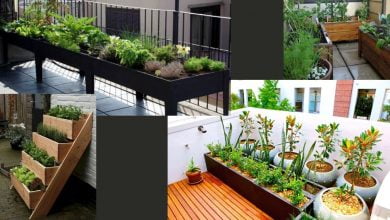 balkon bahçeciliği fikirleri balkon bahçeciliği nasıl yapılır? balkonda bahçe https://img.huglero.com