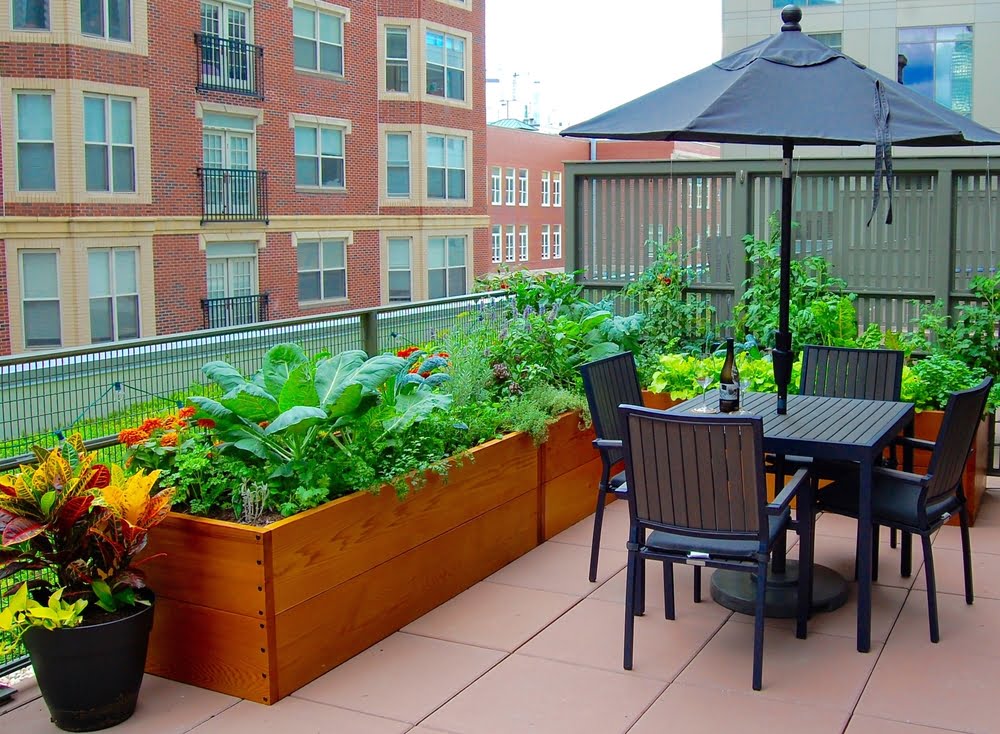 Balkon bahçeciliği nasıl yapılır? 
