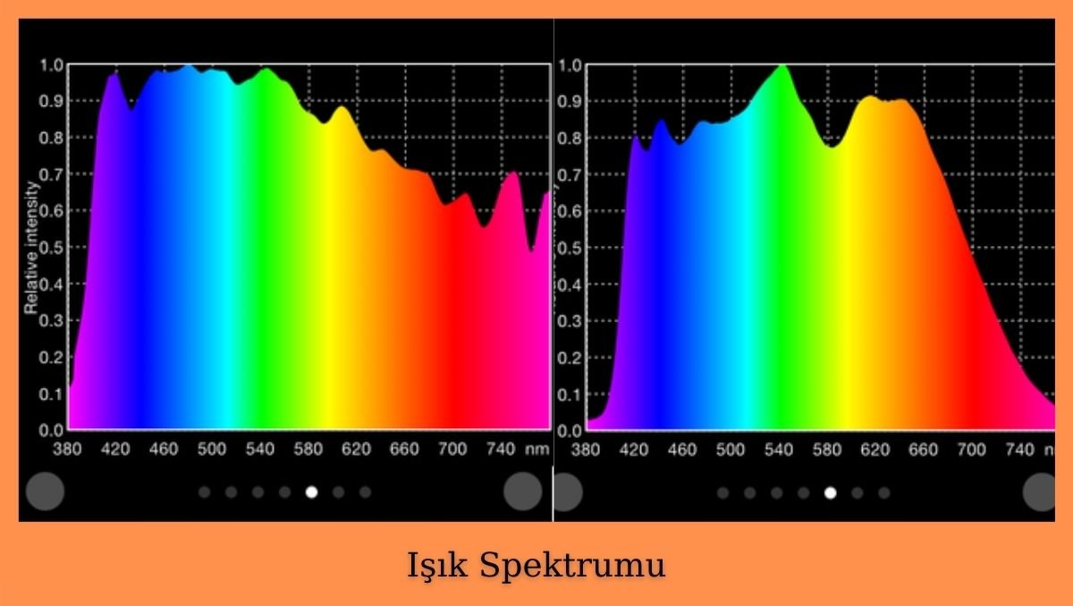 ışık spektrumu nedir? bitki yetiştirmede hangi ışık spektrumu idealdir https://huglero.com